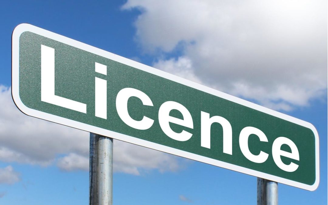 Licences for Medicines Wholesale – The Basics in 2 minutes!