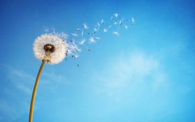 Additional Pharmacy Regulatory Changes