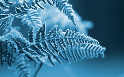 Adult Flu Season: Signing up to the correct PGD