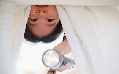 Pharmacy Consulting Ltd – Audit Training