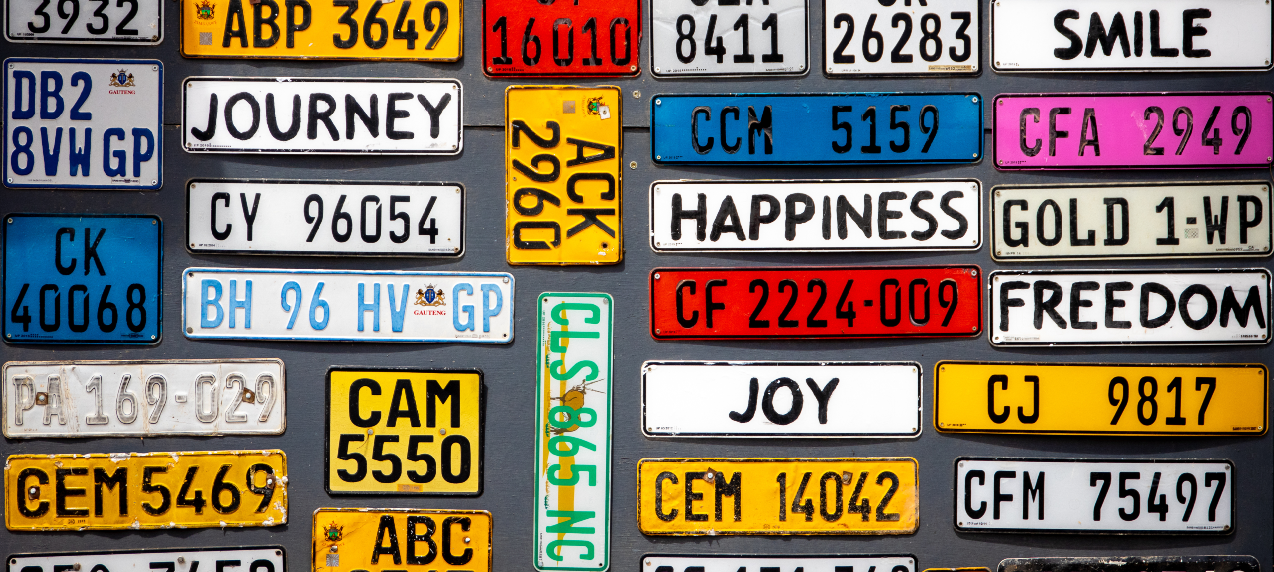 Licence Holder Training