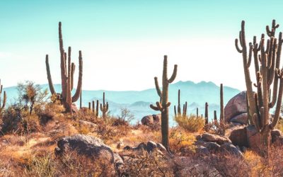 Climate Change Is Creating a New Challenge for Medicines Storage